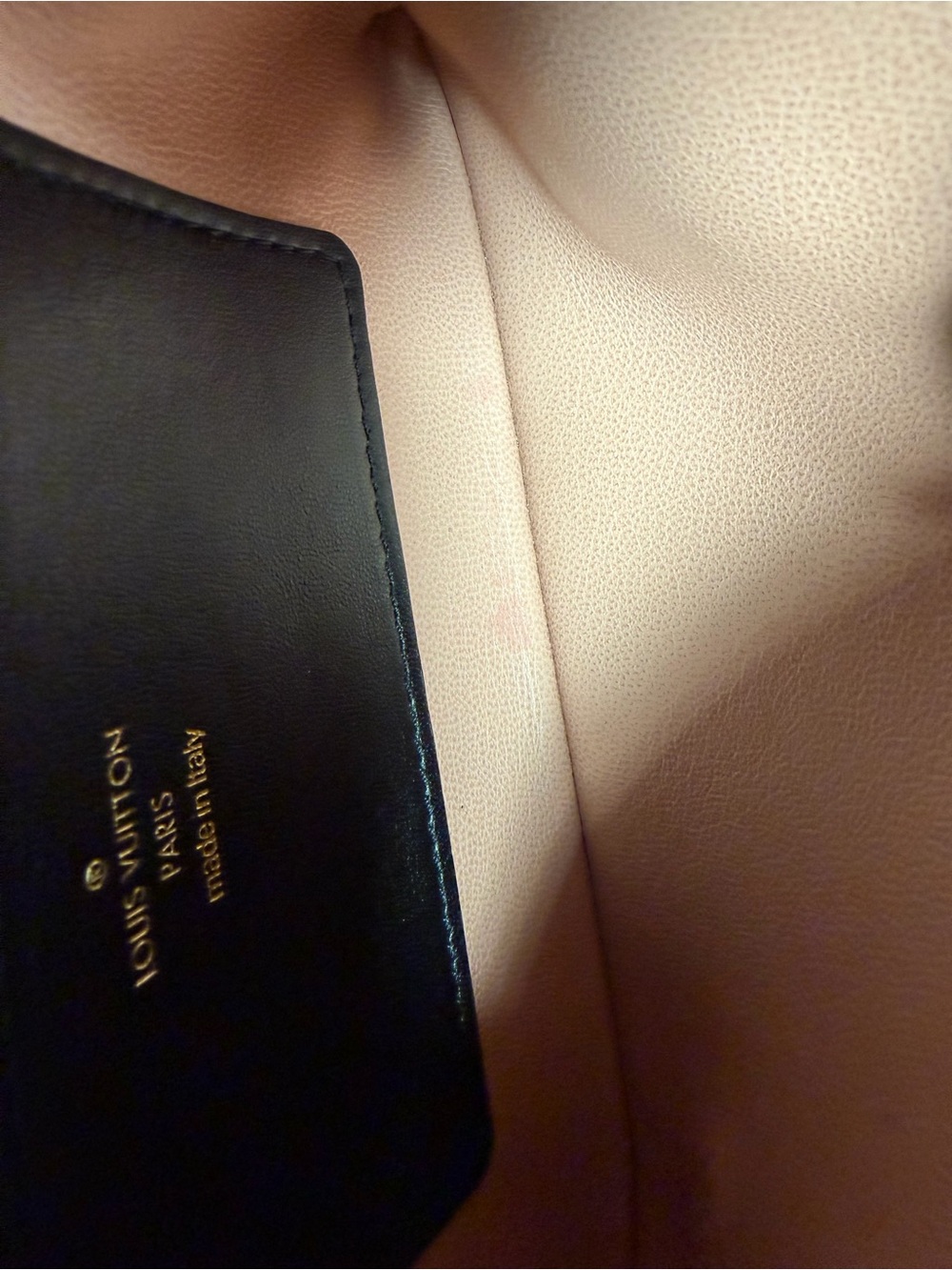 Louis Vuitton Black Coussin - Picture 17 of 17